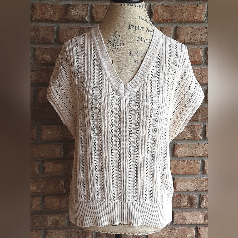 Joie V-neck Knit Dolman Sleeve Sweater.